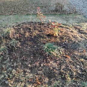 Flower Bed Weeding by Copper State Lawn Care reviewed on November 21, 2025
