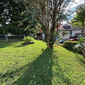landscaping by Lanes landscaping and tree trimming reviewed on August 16, 2025