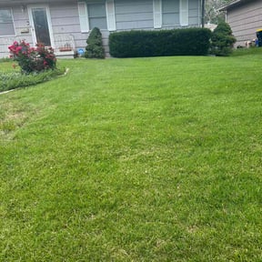 yard maintenance by Yard Culture reviewed on August 17, 2025
