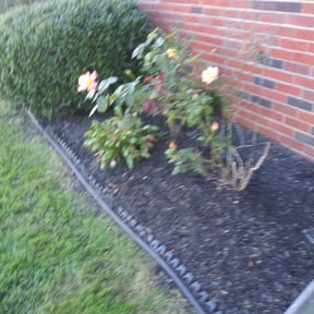 Flower Bed Weeding by Kennedy Lawn Care reviewed on August 19, 2025