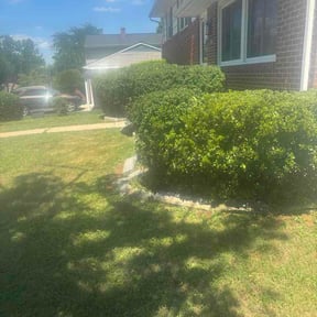 Bush Trimming by Dream green lawn care LLC reviewed on June 27, 2026