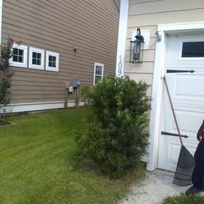 Bush Trimming by Shield Hygienic  Services llc reviewed on December 11, 2025