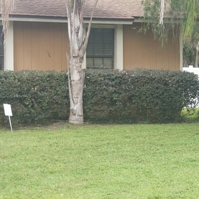 Bush Trimming by kumler lawn care reviewed on August 20, 2025