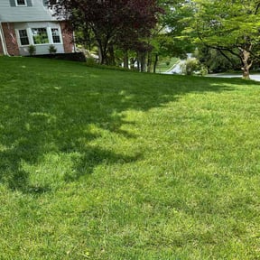 yard maintenance by One Stop Lawn Care reviewed on August 15, 2025