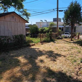 Bush Trimming by Go Green Electric Lawncare reviewed on November 19, 2025