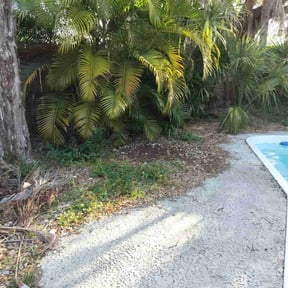 Leaf Removal by Greenview Lawn Solutions llc reviewed on October 2, 2025