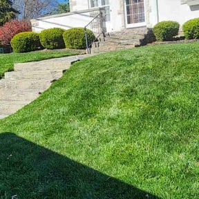 grass maintenance by Ultrawash &amp; Landscape reviewed on August 20, 2025