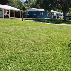 yard care by MelMar Lawn Care reviewed on August 21, 2025