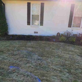 Leaf Removal by Electric Cut Lawn Care reviewed on September 18, 2025