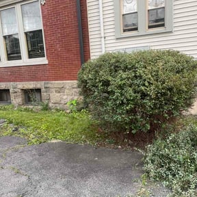 Bush Trimming by Hard Hat Lawn Crew reviewed on August 3, 2026