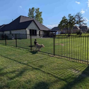 landscape maintenance by Lipscomb mowing reviewed on August 14, 2025