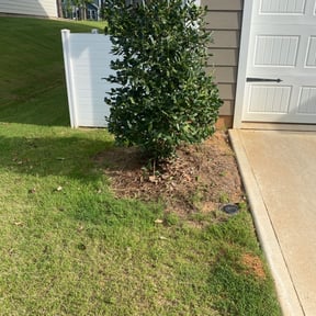 Bush Trimming by Diego Mojica Lawn Care reviewed on August 16, 2025