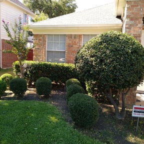 Bush Trimming by S & G Lawn Care reviewed on August 20, 2025