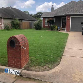 yard care by David Peters reviewed on August 13, 2025