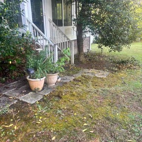 Bush Trimming by SB Elite Lawn Care Services LLC reviewed on April 22, 2026