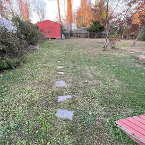 Leaf Removal by ON SITE LAWN SERVICE LLC. reviewed on September 24, 2025