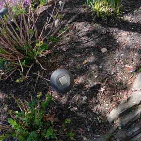 Flower Bed Weeding by Jason Rudd reviewed on April 5, 2026