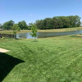 turf care by Clean Cuts reviewed on August 21, 2025