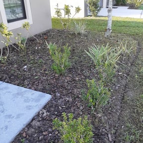 Bush Trimming by Dorman property services reviewed on August 21, 2025