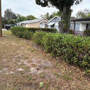 Bush Trimming by St Charles Services reviewed on August 18, 2025