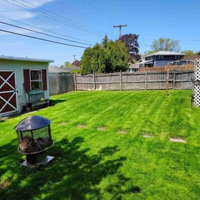 gardening service by Norris and Son Mowing reviewed on May 26, 2024