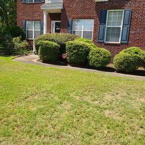 Bush Trimming by Miramontes Landscaping reviewed on August 13, 2025
