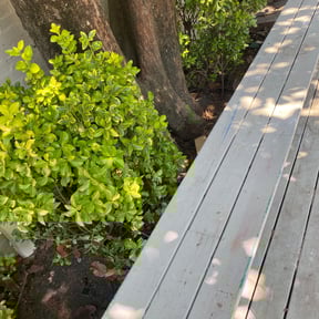 Leaf Removal by C&amp;J Lawn Care and Pressure Washing reviewed on September 7, 2025