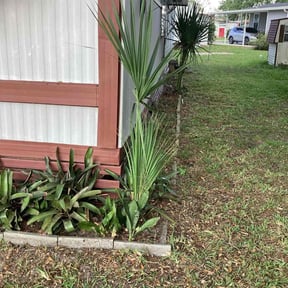 Bush Trimming by Heaven lawn care reviewed on August 15, 2025