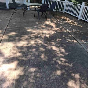 Leaf Removal by Junk by Day Gone by Night reviewed on June 17, 2026