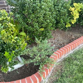 Flower Bed Weeding by SKINNERS LAWN CARE MANAGEMENT LLC reviewed on November 22, 2025