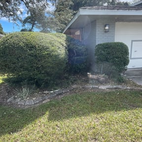 Bush Trimming by Wallace The Lawn Guy reviewed on August 16, 2025