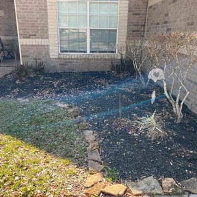Bush Trimming by Champions Landscape reviewed on August 20, 2025