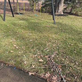 Leaf Removal by conradolawncervices reviewed on March 23, 2026