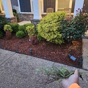 Flower Bed Weeding by Jeri Cleaning Services reviewed on August 20, 2025
