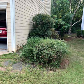 Bush Trimming by Green Mountain Inc landscaping reviewed on October 22, 2025