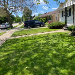 residential landscaping by Celebrity lawn care and landscaping reviewed on August 15, 2025