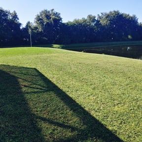 turf care by RK Lawncare reviewed on July 31, 2023