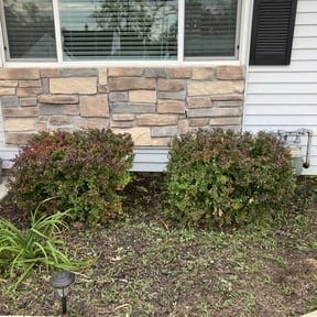 Bush Trimming by Herrera Lawn Maintenance reviewed on August 20, 2025