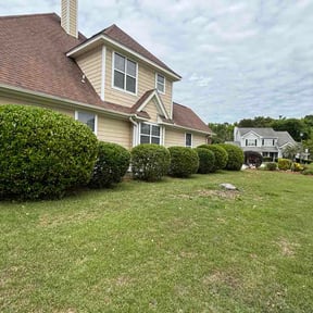 Bush Trimming by Supreme landscaping reviewed on May 8, 2026