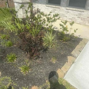 Flower Bed Weeding by Lamb Lawn Care reviewed on December 1, 2025