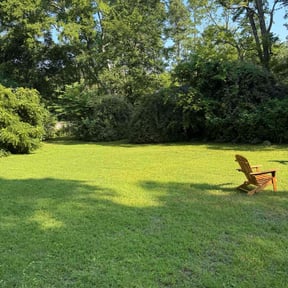 yard care by james lawn service reviewed on August 21, 2025