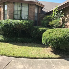 Bush Trimming by Lake country mowing reviewed on April 24, 2024