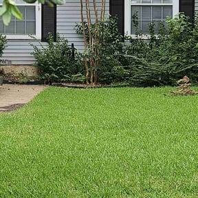 yard work by Chuyin's Lawn Care LLC reviewed on November 22, 2025