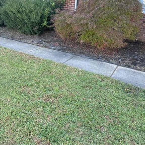 Flower Bed Weeding by Wild Bunch Landscapes reviewed on November 10, 2025