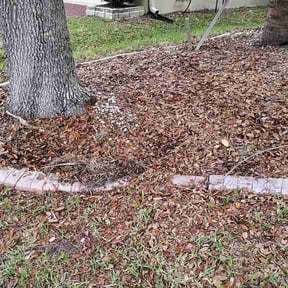 Flower Bed Weeding by VZNRY Property Care reviewed on August 6, 2026