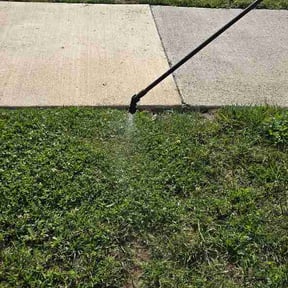 Flower Bed Weeding by Jorge landscaping reviewed on June 25, 2026