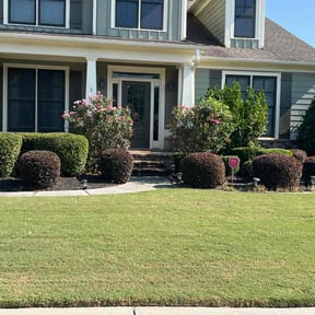 Bush Trimming by GD &amp; L Lawn Care reviewed on November 30, 2025