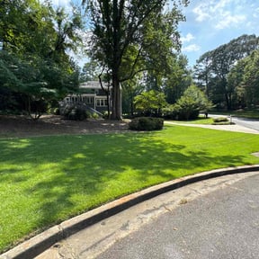 landscaping by Tim's Discount Lawn reviewed on August 1, 2023