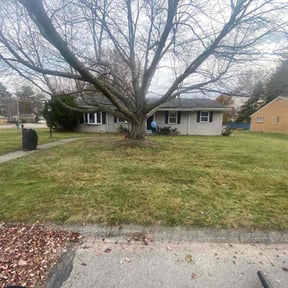 Leaf Removal by ChinaCat Landscaping reviewed on November 25, 2025