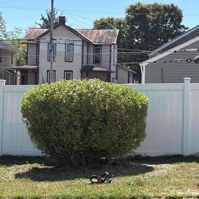 Bush Trimming by Xsignature reviewed on November 5, 2025